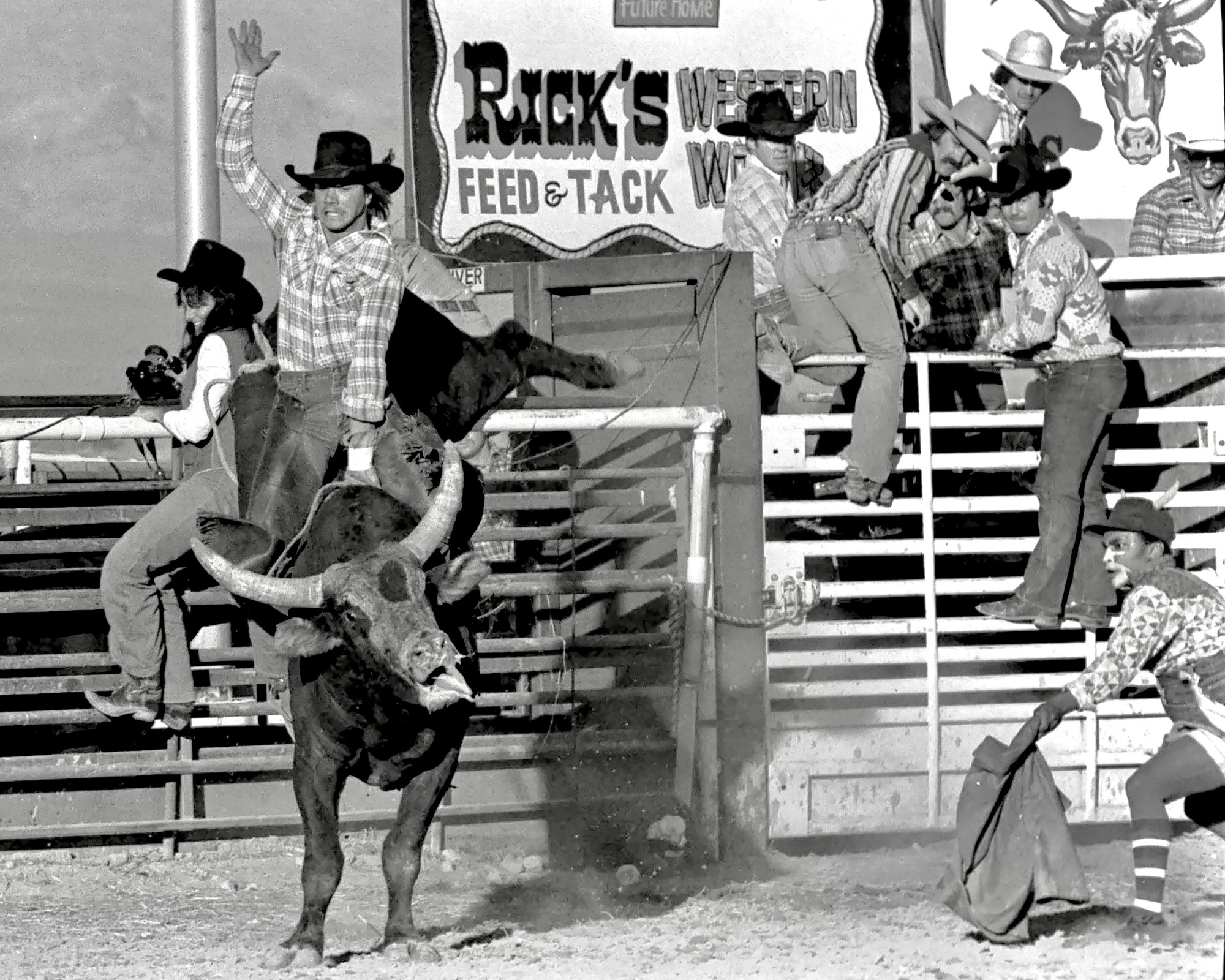 Cowboys spring from chute as bull bursts into rodeo arena beneath Rick's Feed & Tack sign.